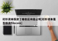 红杉资本投资了哪些区块链公司[红杉资本是否投资filecoin]